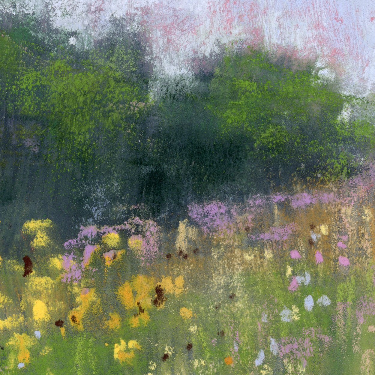 Meadow_5-web_closeup2.jpg