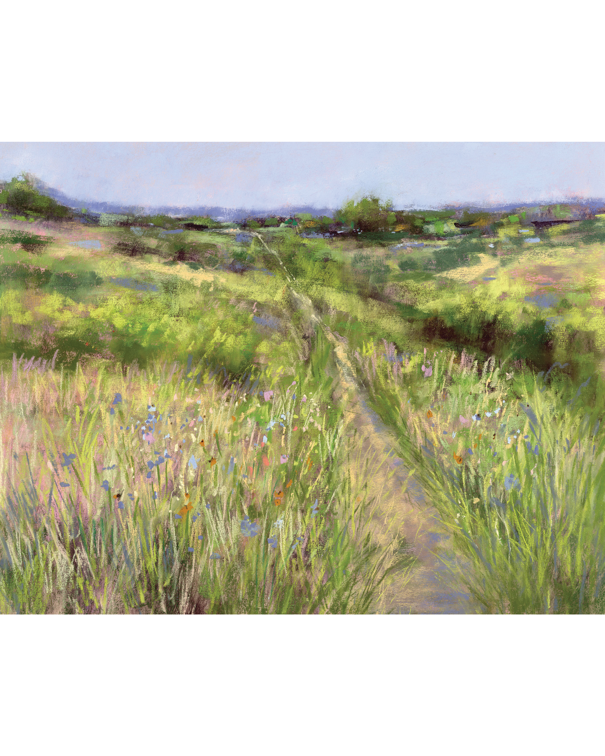 meadow4.png