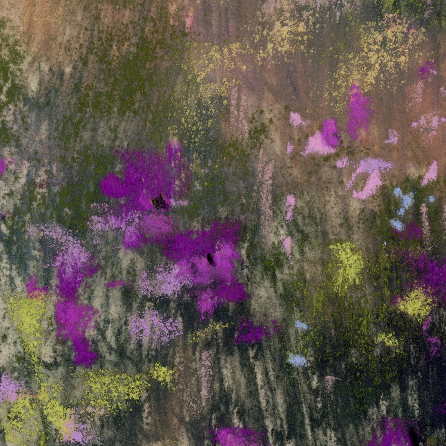 Meadow_10-web_closeup1.jpg