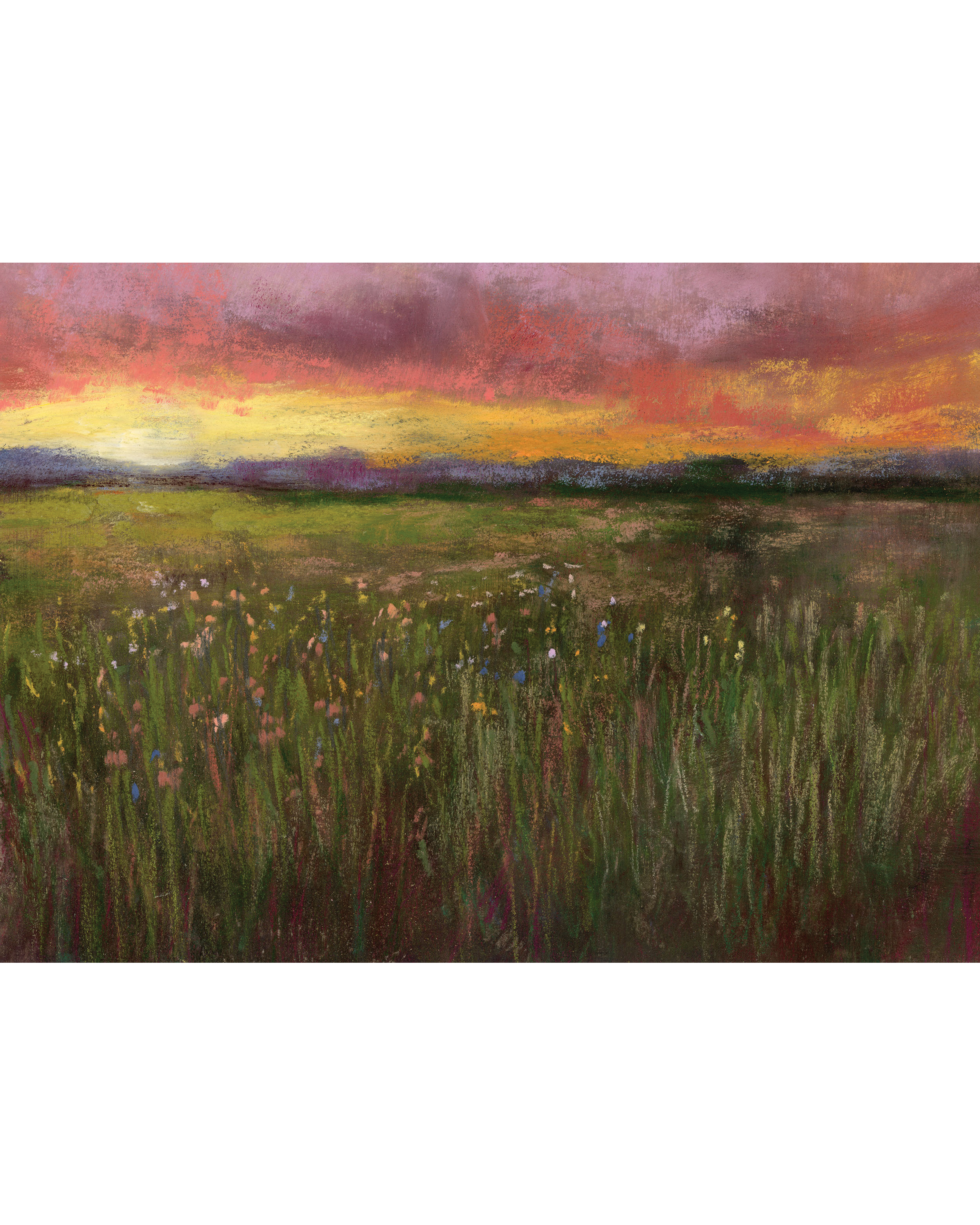 meadow4.png