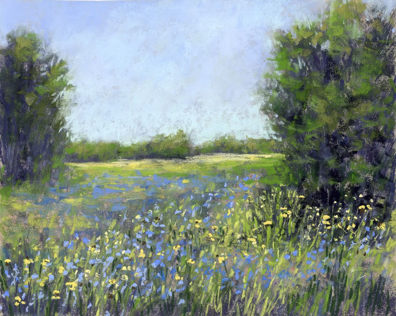 bluebonnetMeadow copy.jpg