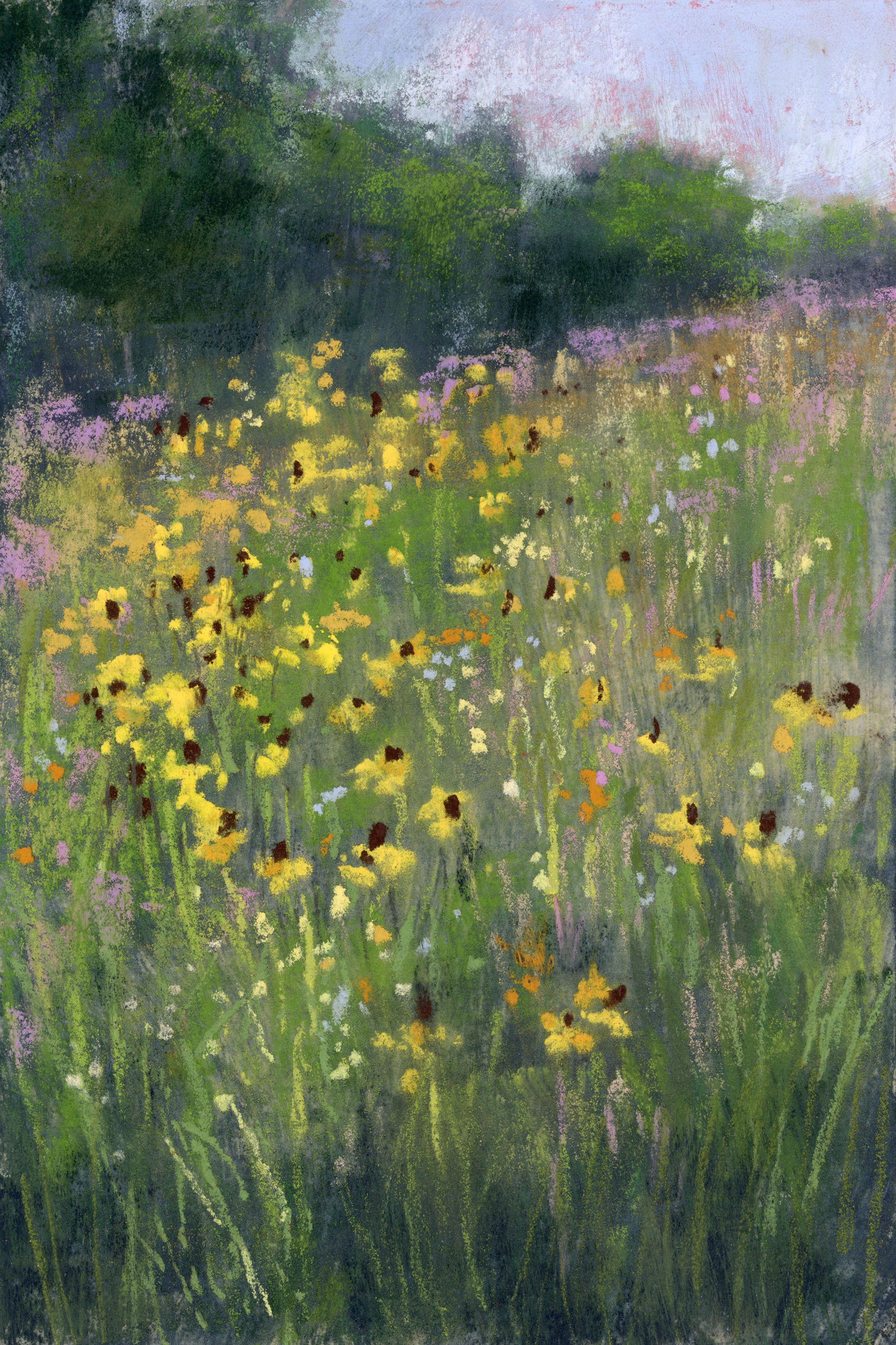 Meadow_5-web.jpg