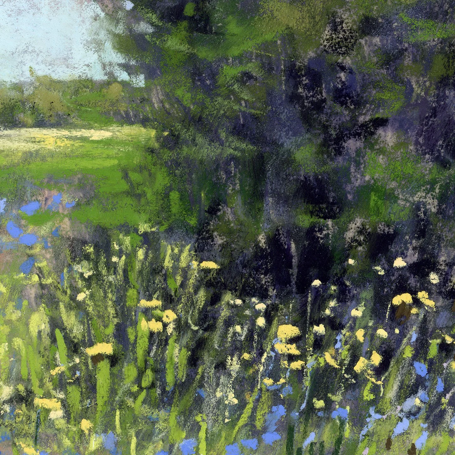 bluebonnetMeadow_closeUp1.jpg
