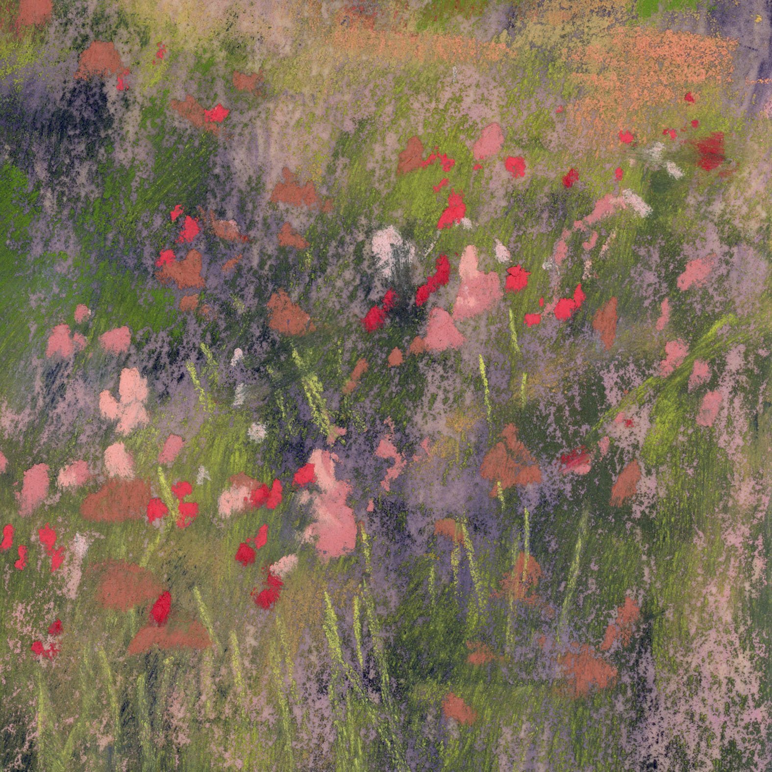 Meadow_8-web_closeup2.jpg