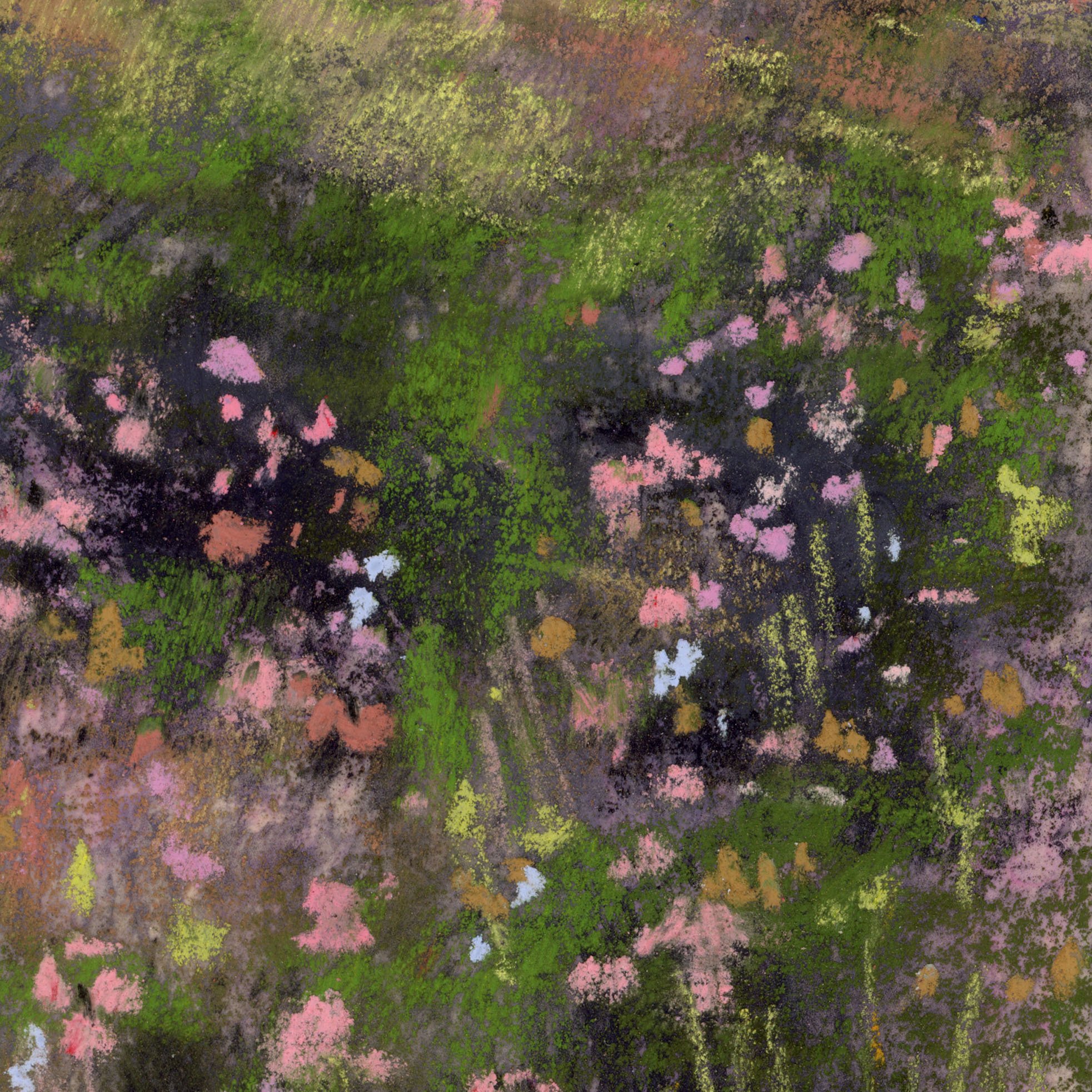 Meadow_7-web_closeup2.jpg