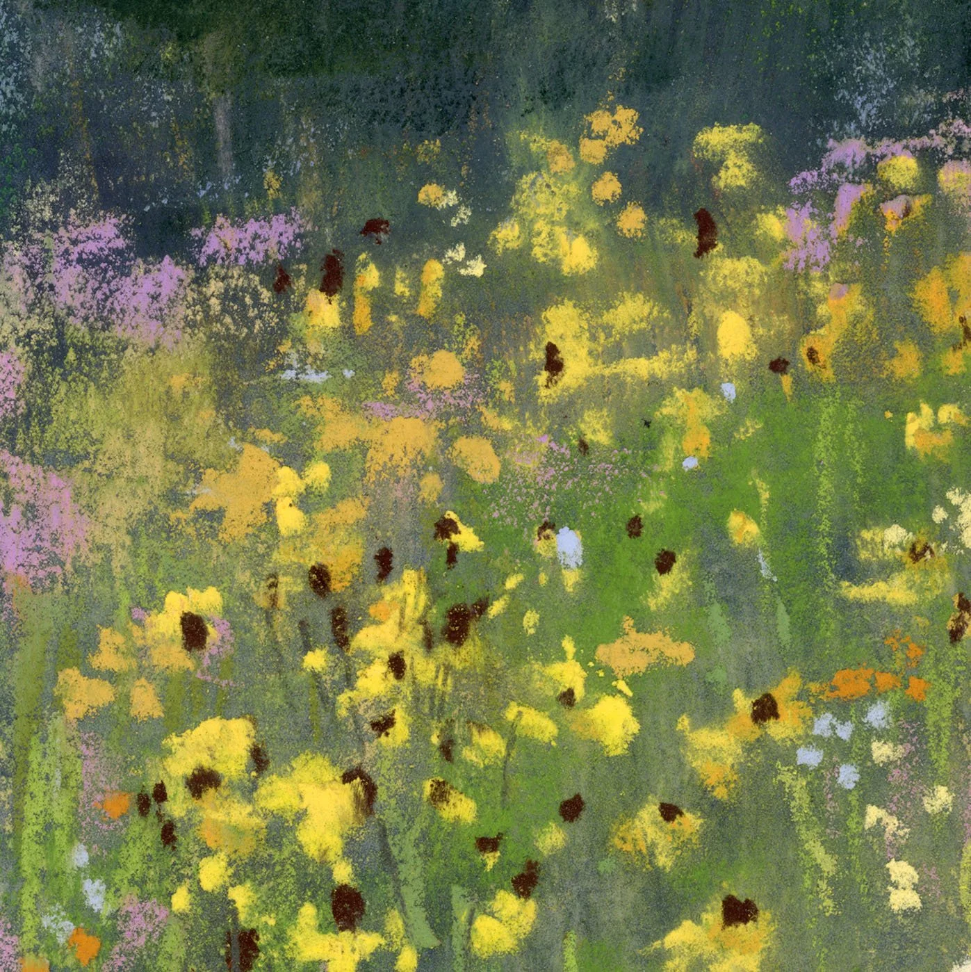 Meadow_5-web_closeup1.jpg