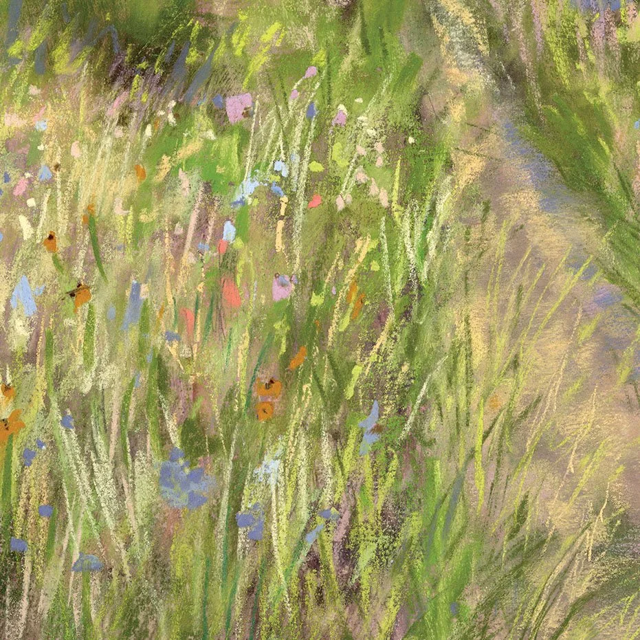 Meadow_16-web_closeup2.jpg