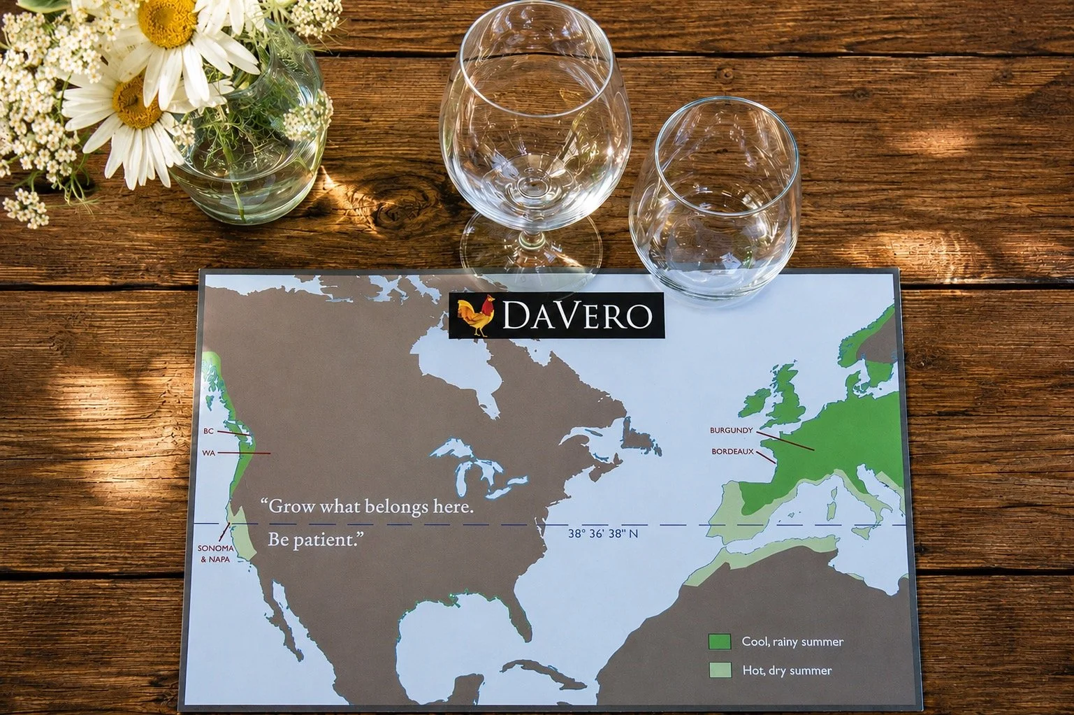 A map of North America and Europe with regions marked for climate zones, a vase of white daisies and small white flowers, and two empty wine glasses on a wooden table. A sticker says 'Davero' with a rooster logo. Quote on the map reads, 'Grow what be
