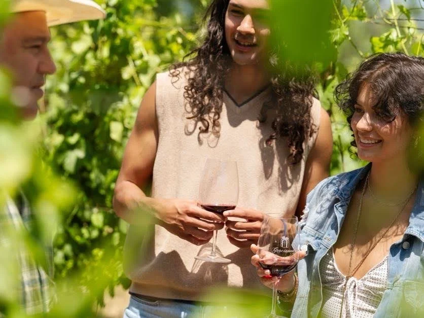 Three people enjoying wine in a vineyard, smiling and talking.