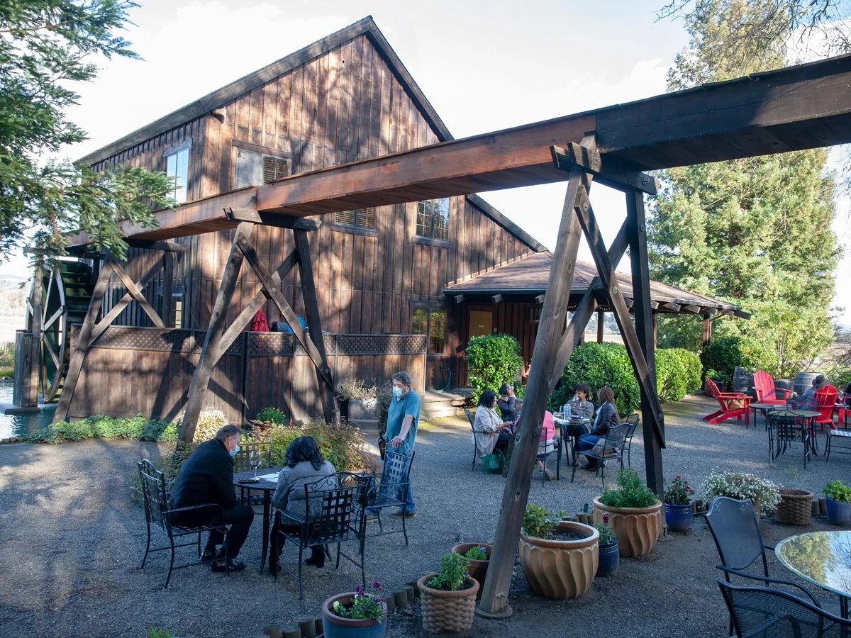 People dining outdoors at a patio with potted plants, wooden building with swing, and trees in the background.