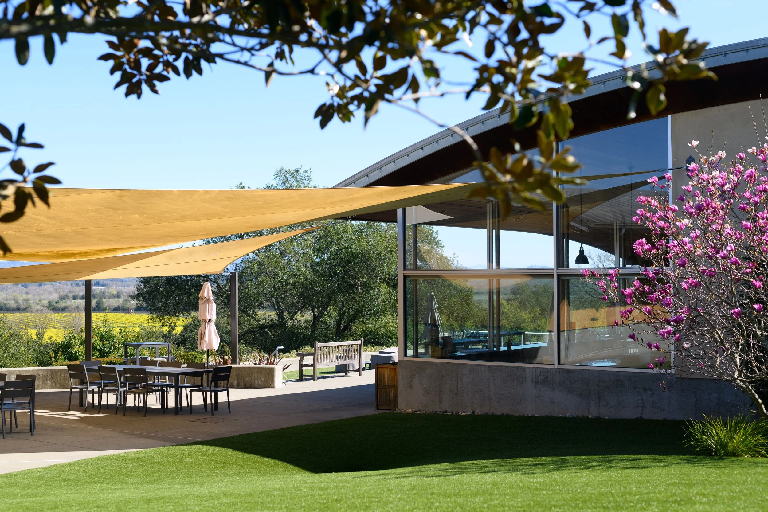 The outdoor patio area of Twomey featuring a modern building with large glass windows, surrounded by green lawn, trees, and pink flowering bushes, with yellow shade sails providing cover.