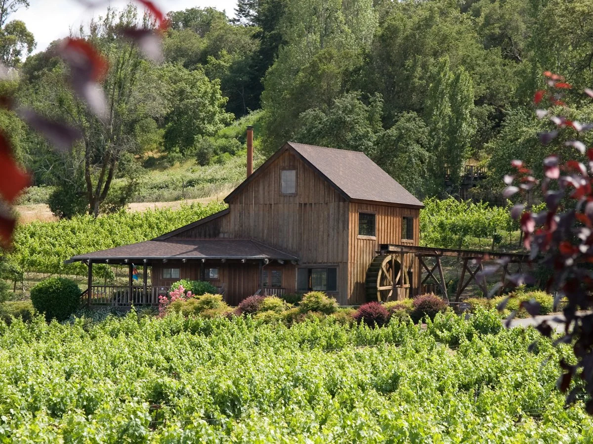 A rustic wooden house in a lush green vineyard with trees in the background.