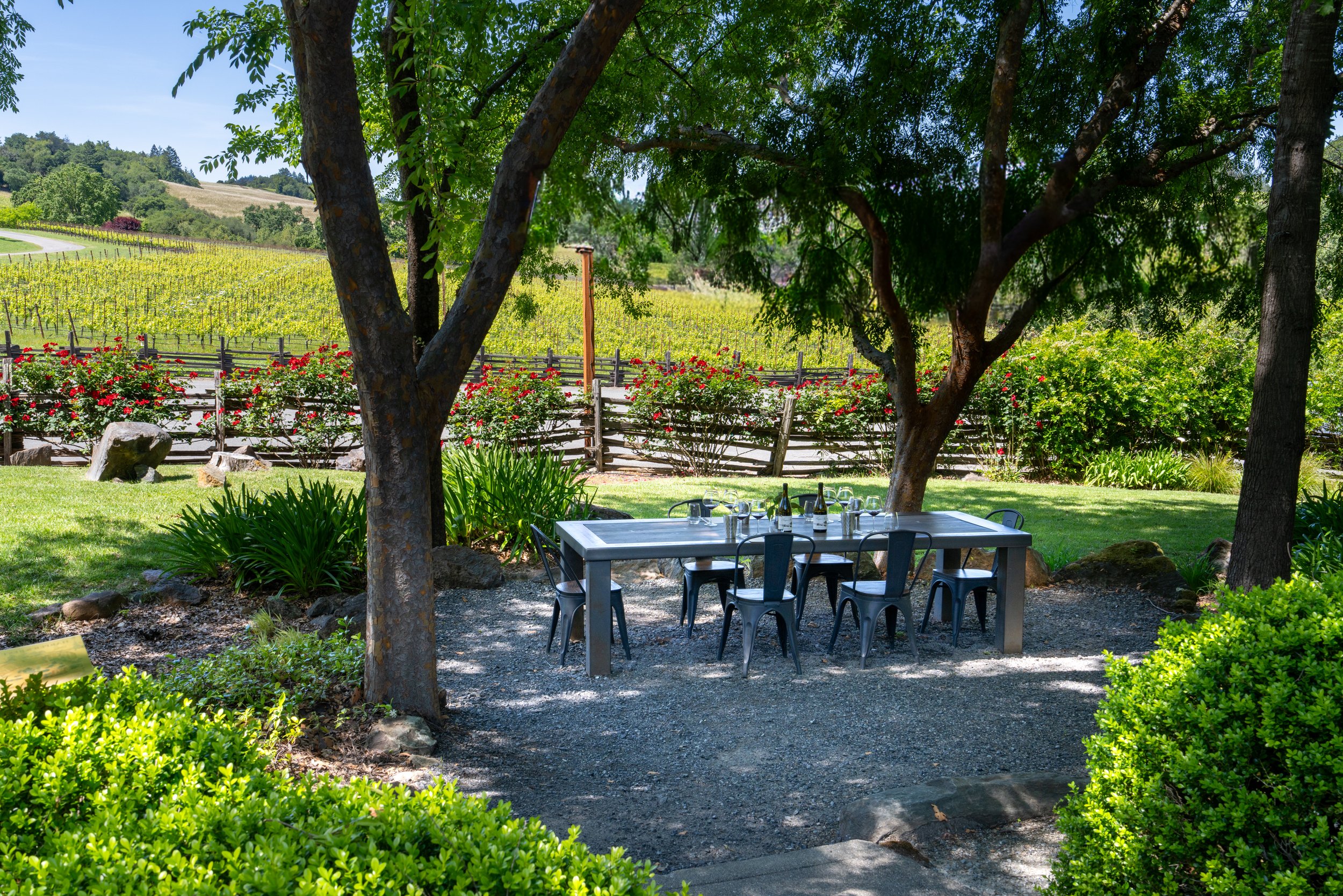 Outdoor dining area with a table and chairs under shade of trees, overlooking a vineyard with rolling hills in the background.