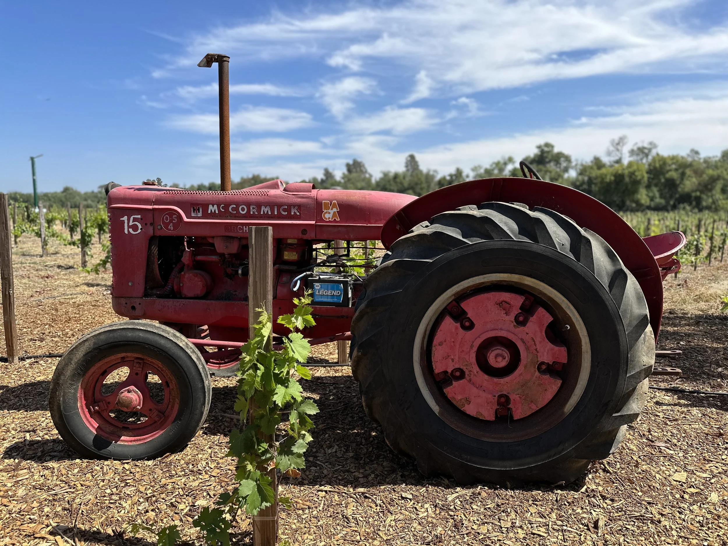 A vintage red McCormick tractor with large black tires parked in a vineyard under a partly cloudy blue sky, with green trees in the background.