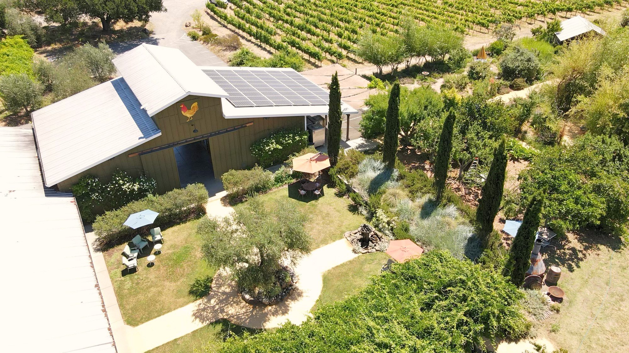 Aerial view of a property with a green house with solar panels on the roof, surrounded by trees, shrubs, and gardens, including a patio with outdoor furniture and umbrellas, and a vineyard in the background.