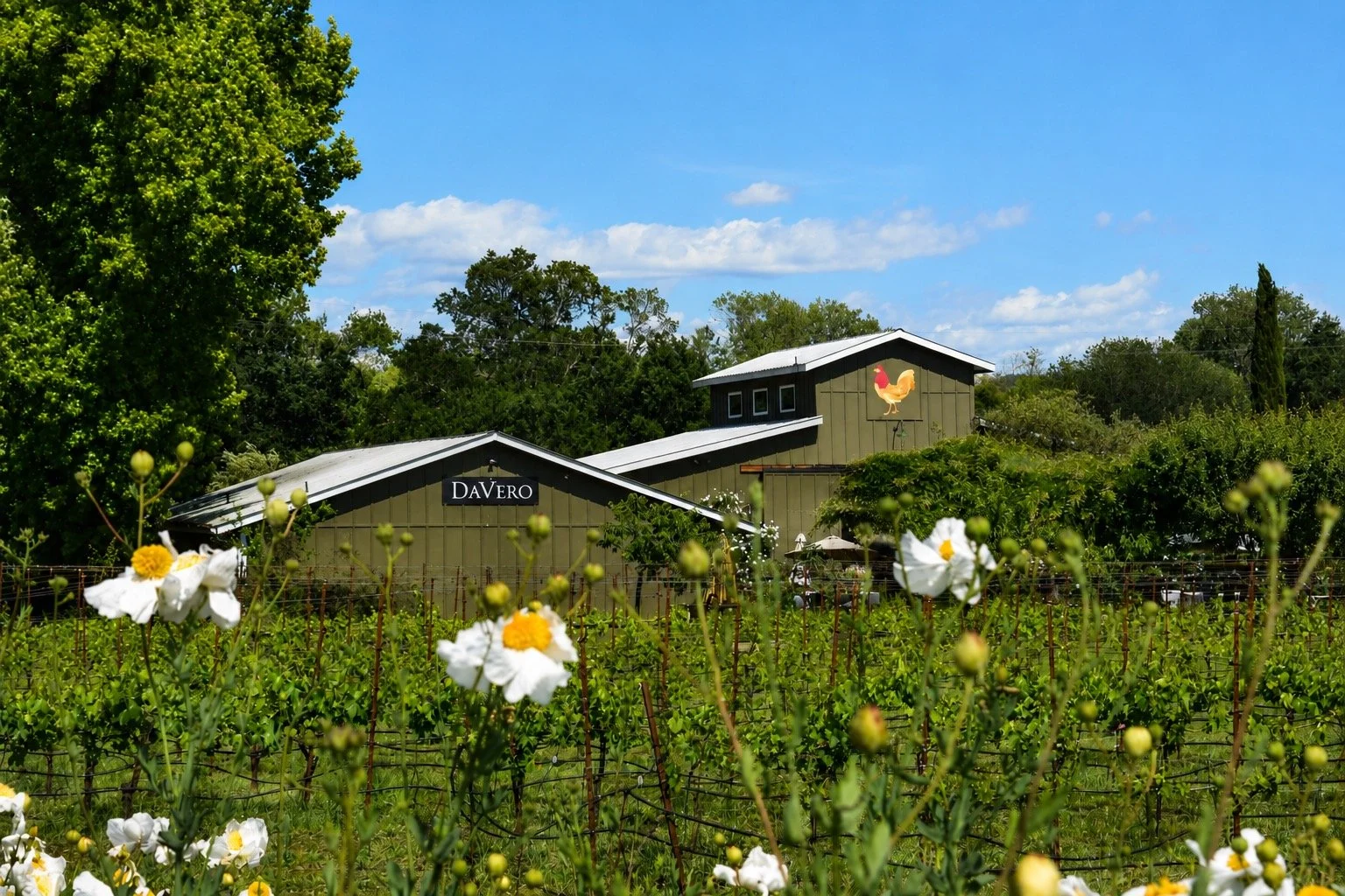 DaVero Farms & Winery