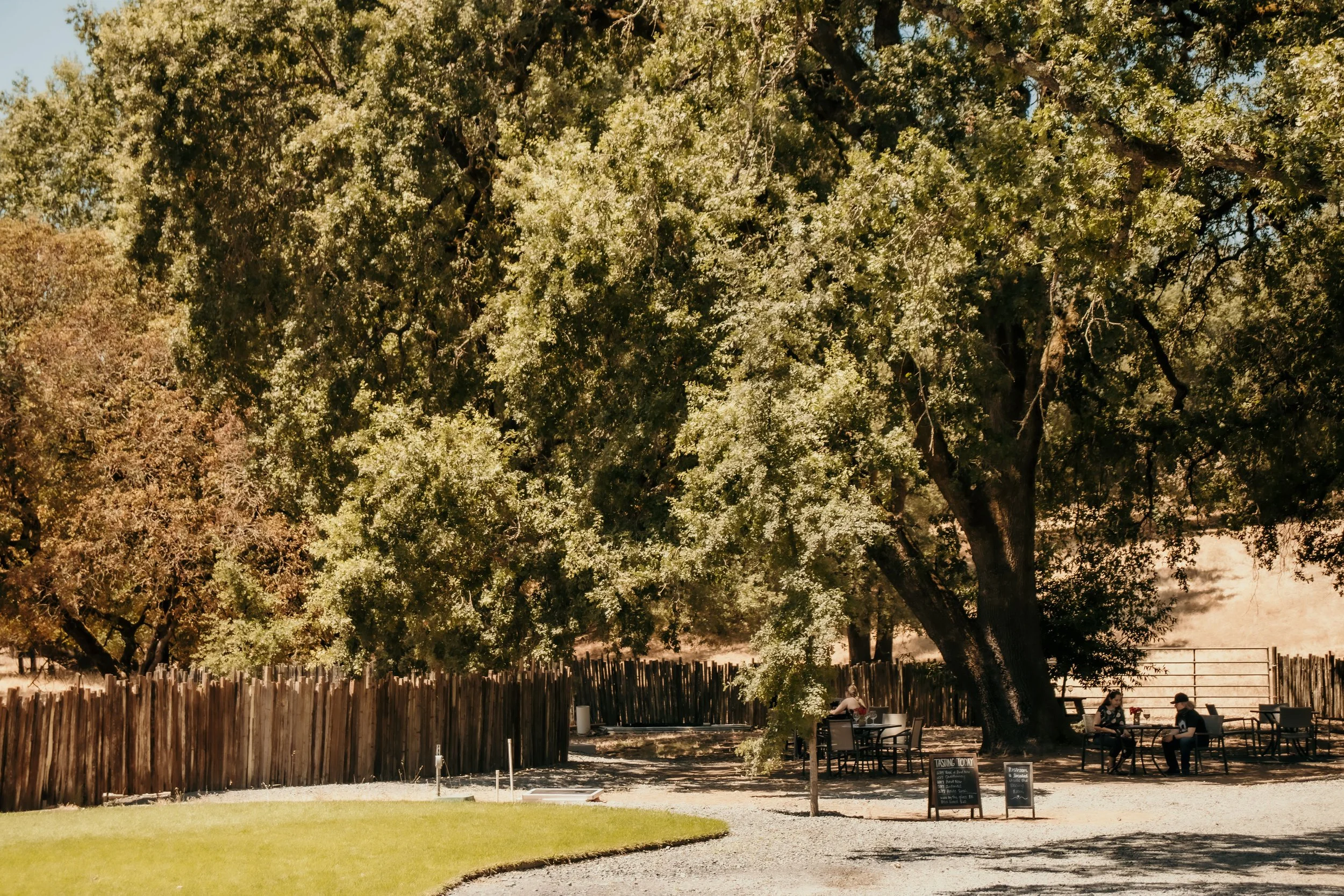 A large leafy tree with a shaded outdoor seating area underneath, including tables, chairs, and a few people sitting and talking on a sunny day. There is a tall wooden fence in the background, and the ground is covered in gravel.