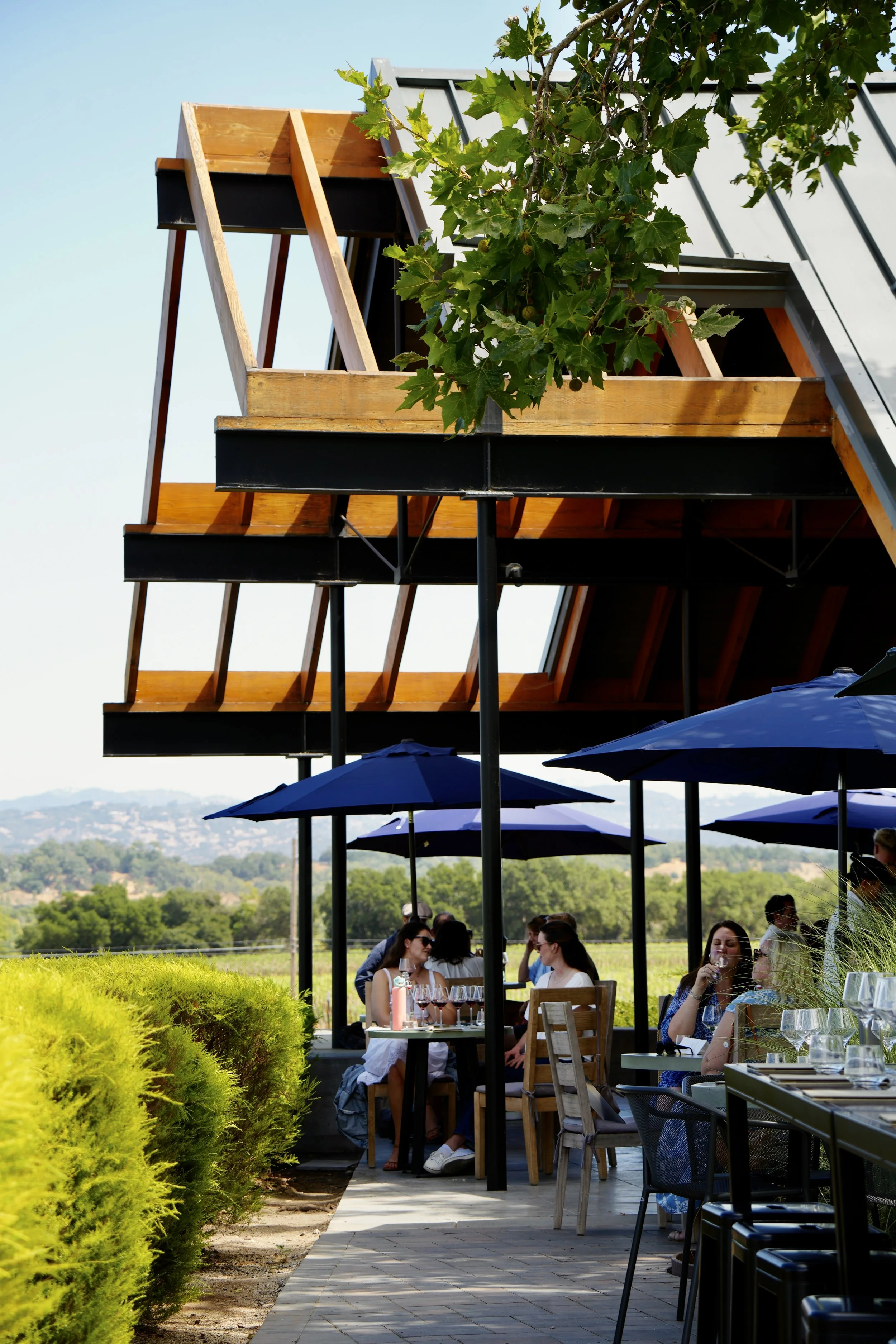 Outdoor restaurant patio with people dining under umbrellas, surrounded by greenery and bushes, with a view of distant hills.