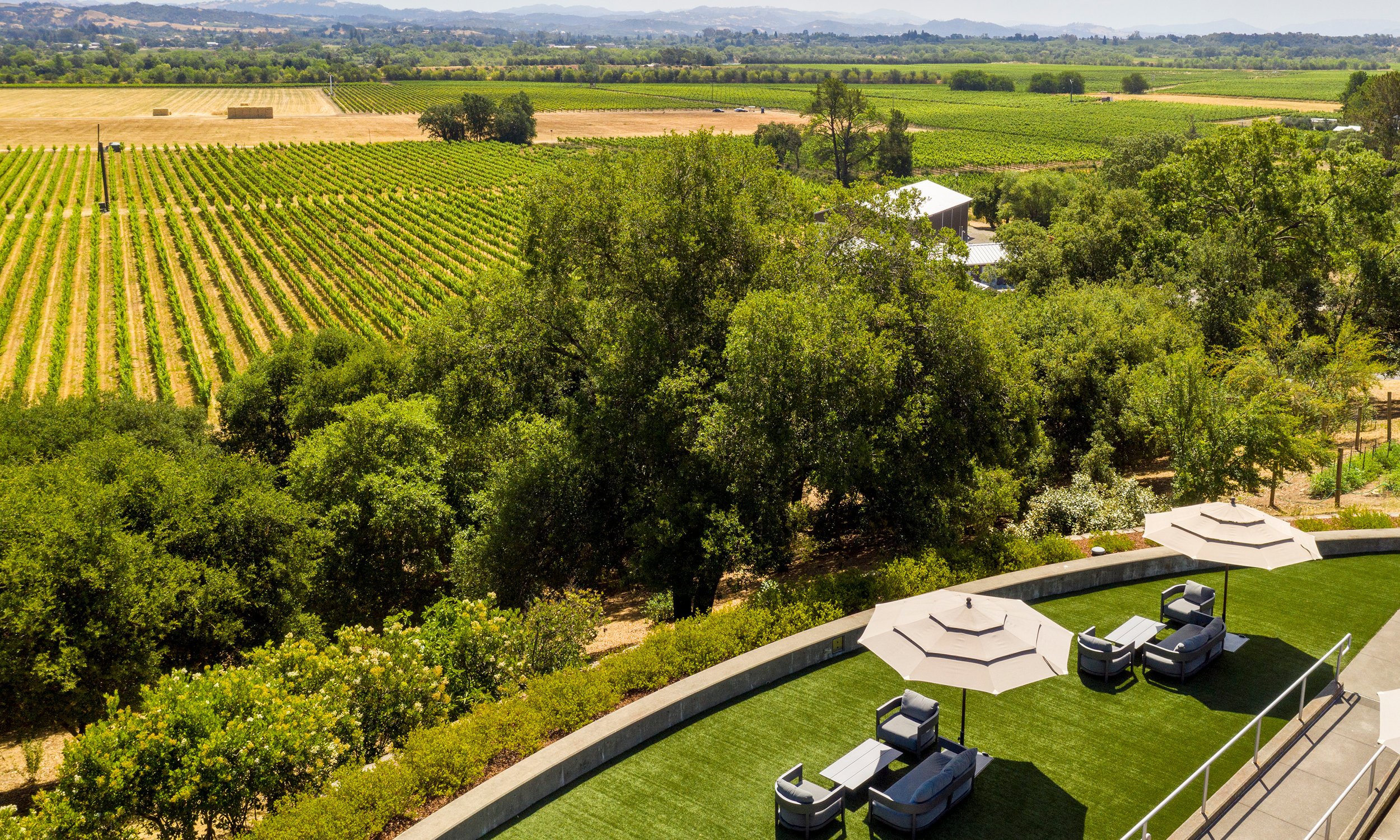 A backyard patio overlooking lush green lawn, outdoor seating with umbrellas, surrounded by abundant trees, and a scenic view of expansive farmland and vineyards in the distance.