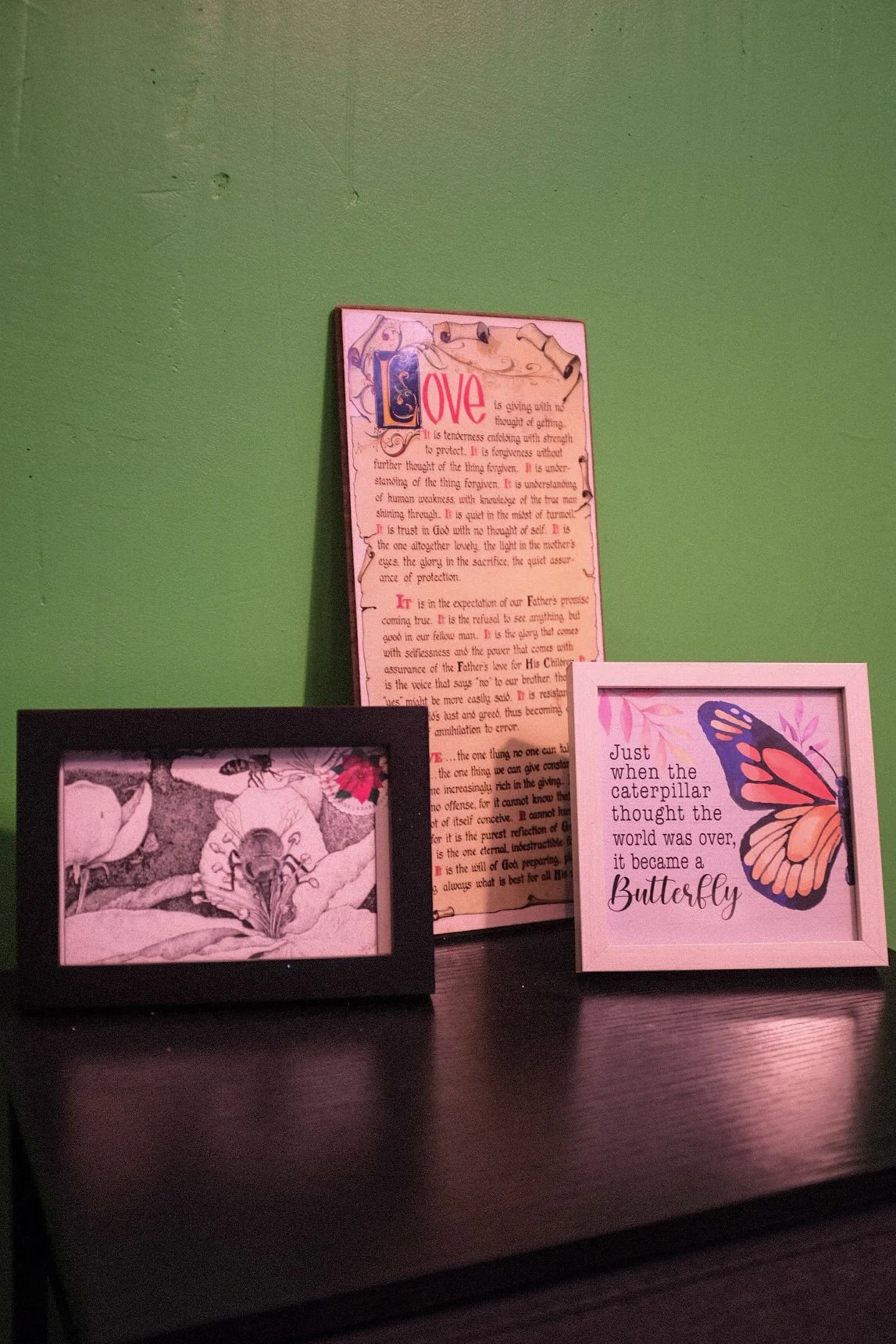 Original Medicine - Decorative framed print with a butterfly and a framed picture of a lion on a dark brown surface against a green wall.