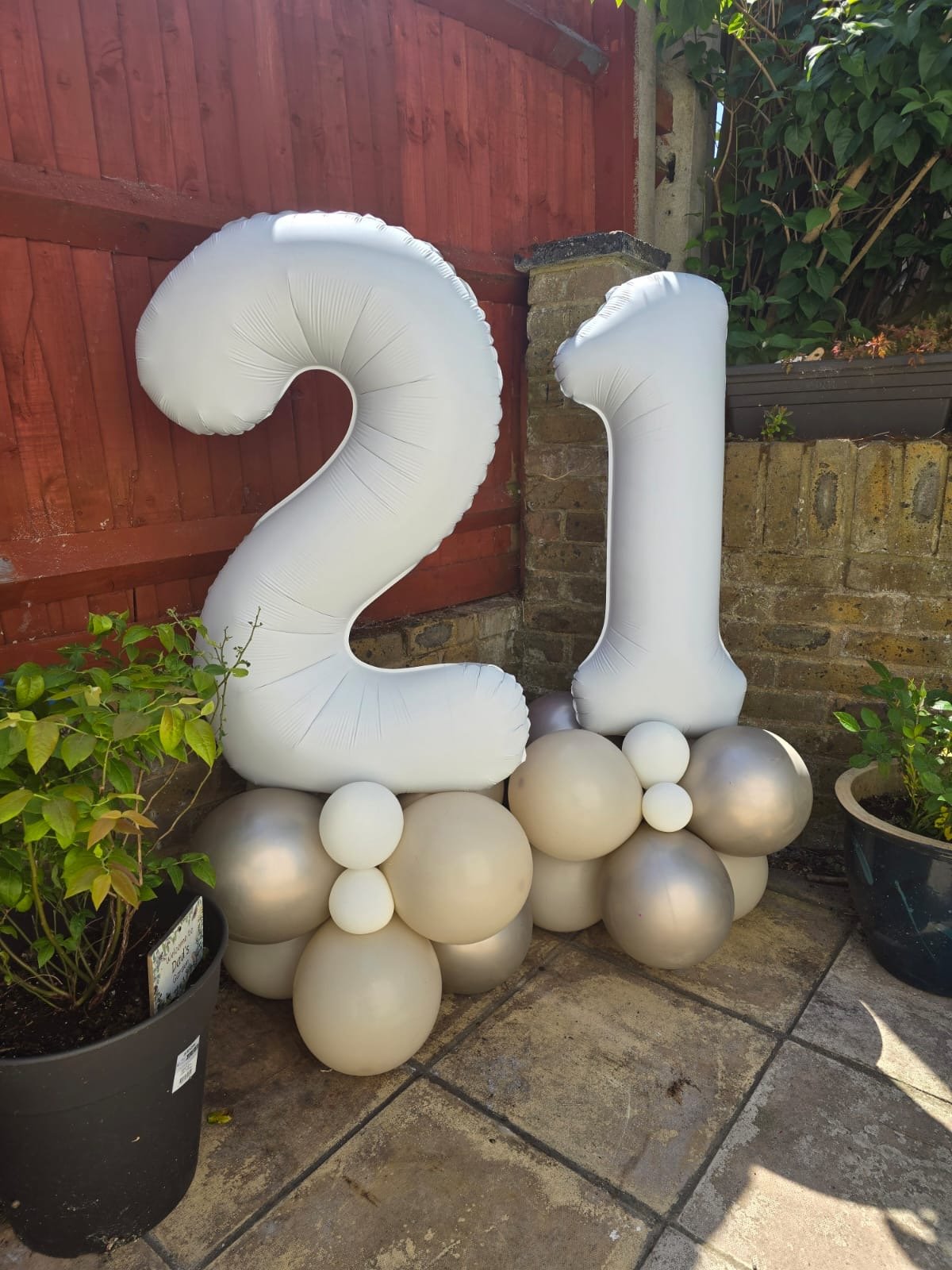 Large white and silver balloons shaped as the numbers 2 and 1, arranged on the ground with smaller balloons underneath, with a red wooden fence and plants in the background.