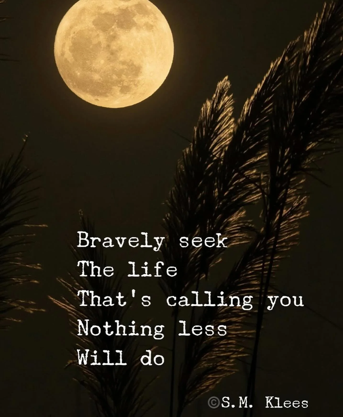 You are braver that you know 
And you deserve 
To have the life
That&rsquo;s calling out to you 🌟 

Follow @stardustandstone.co 
For soul nourishment