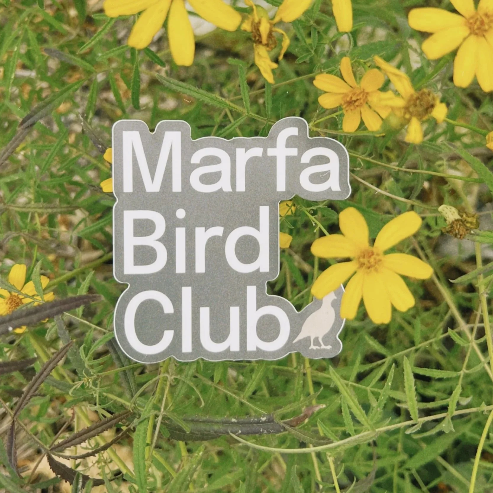 Marfa Bird Club Die Cut Sticker