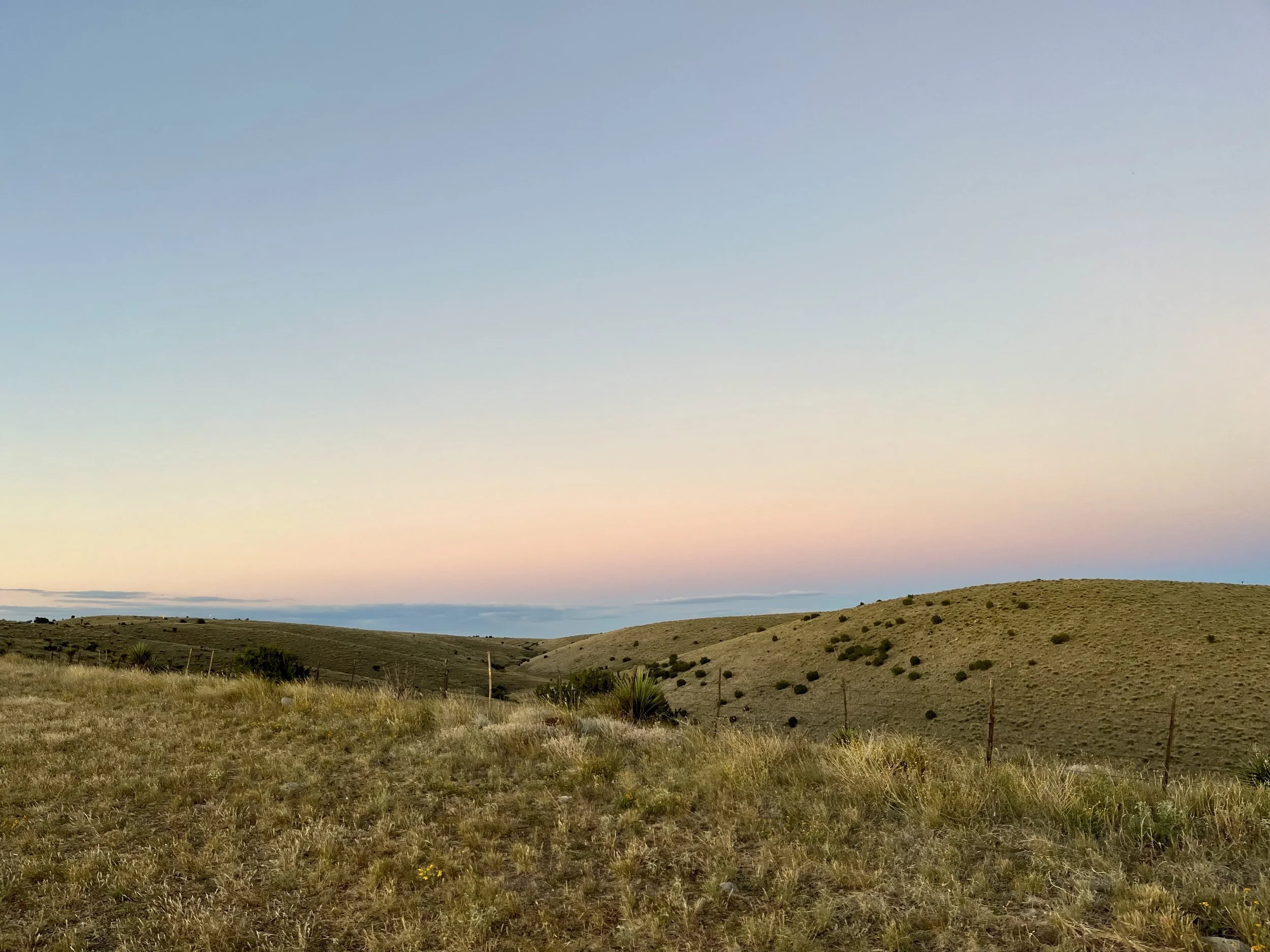 Open grassy landscape with rolling hills, sparse shrubs, and a pastel-colored sky at sunset or sunrise.