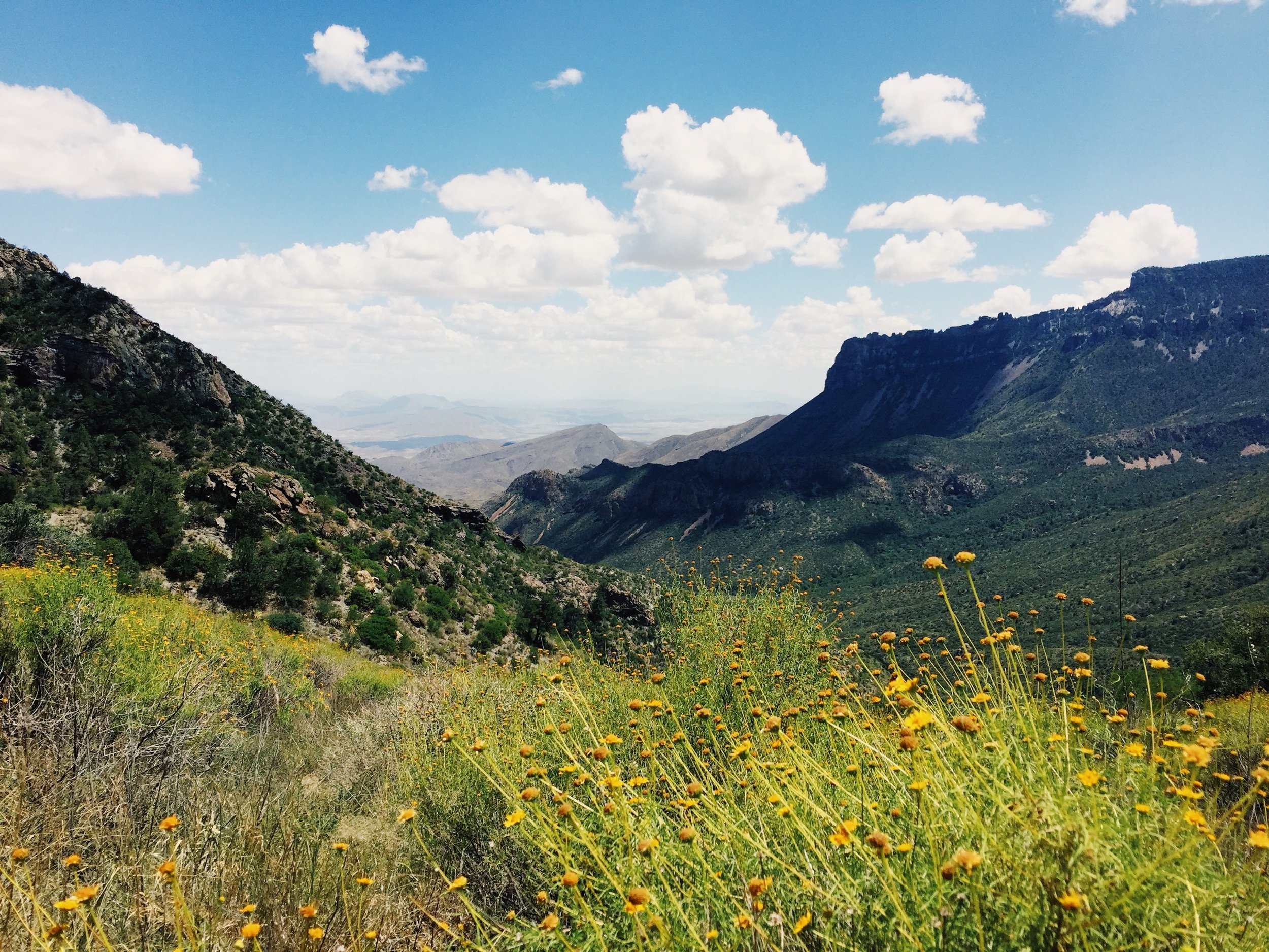 Mountain landscape with green hills, rocky cliffs, and a field of yellow wildflowers under a partly cloudy sky.