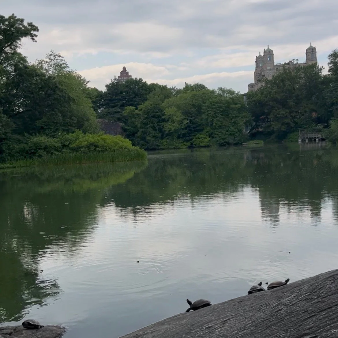My expedition to the core of the Big Apple
