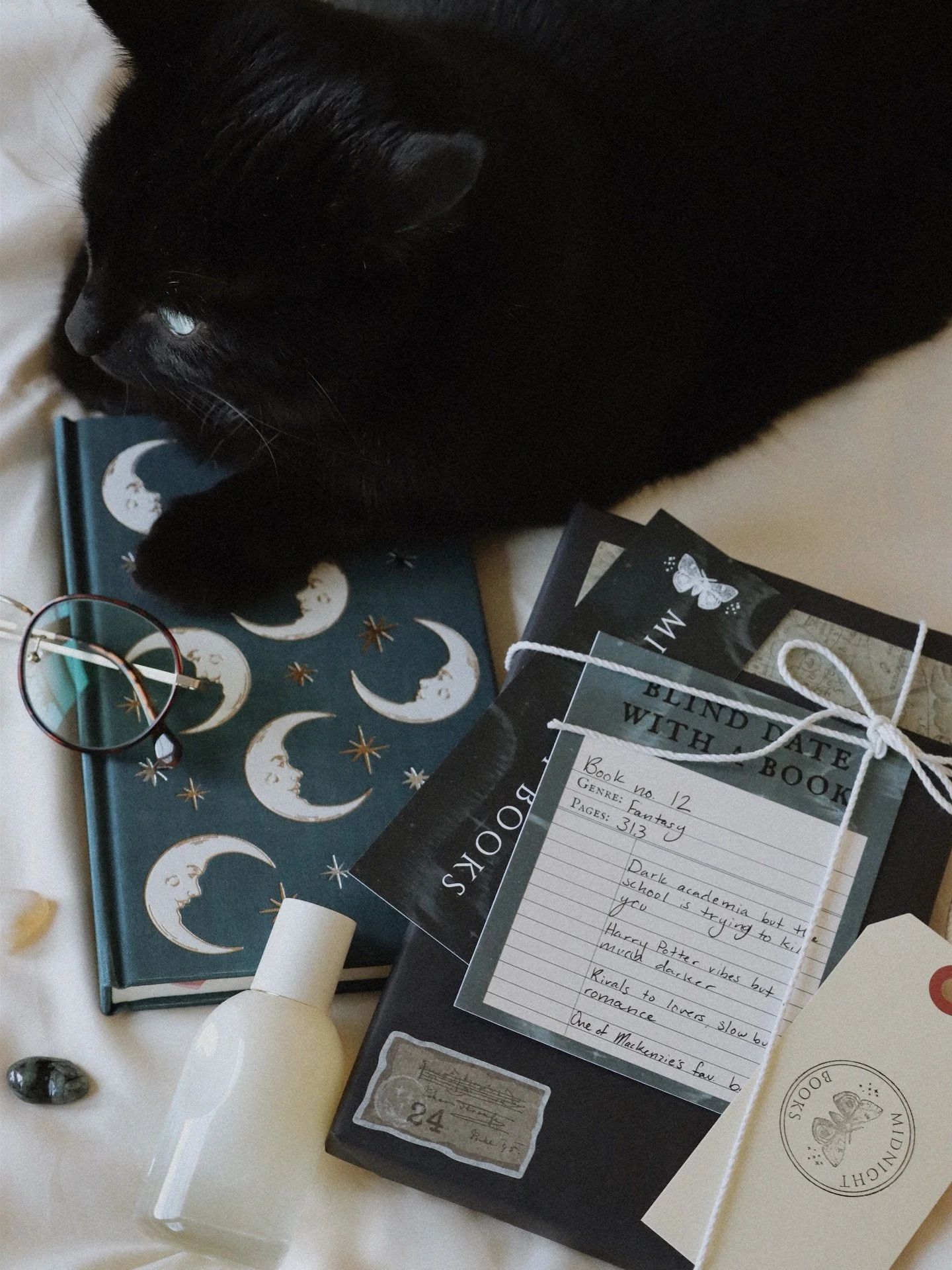 Midnight Books is Walter approved 🙏🏻😩 You can shop our first collection NOW on our website (linked in our bio)! 
.
.
.
#midnightbooks #blinddatewithabook #usedbooks #indiebookstore #onlinebookstore #fallbooks #newbusiness #smallbusiness #bookish #