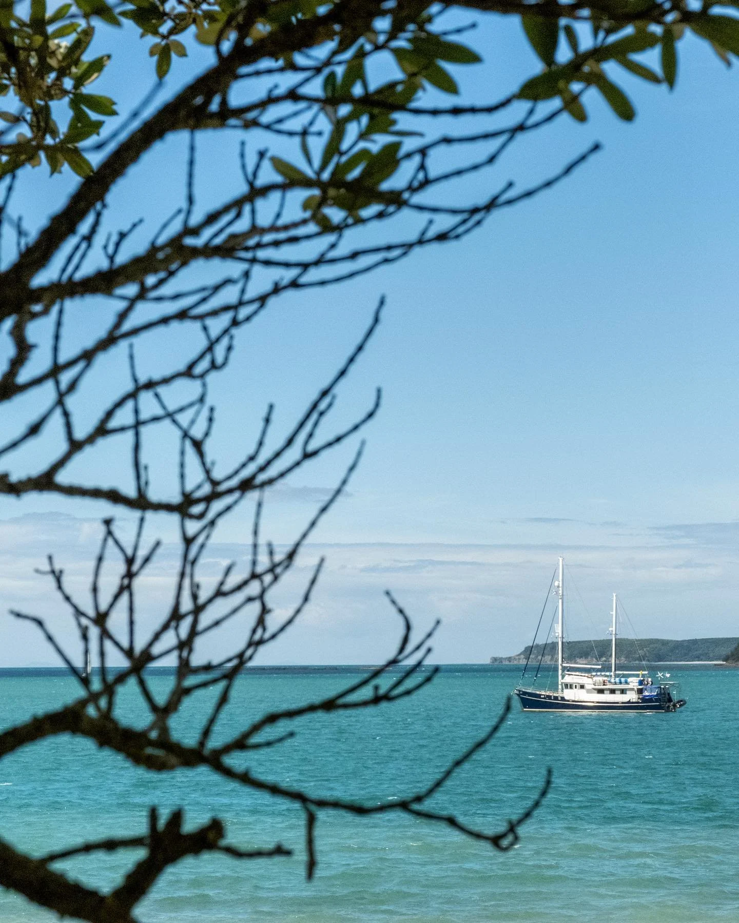 🌊⛴
Mahurangi West 2.10.20
#fujifilm X-T3