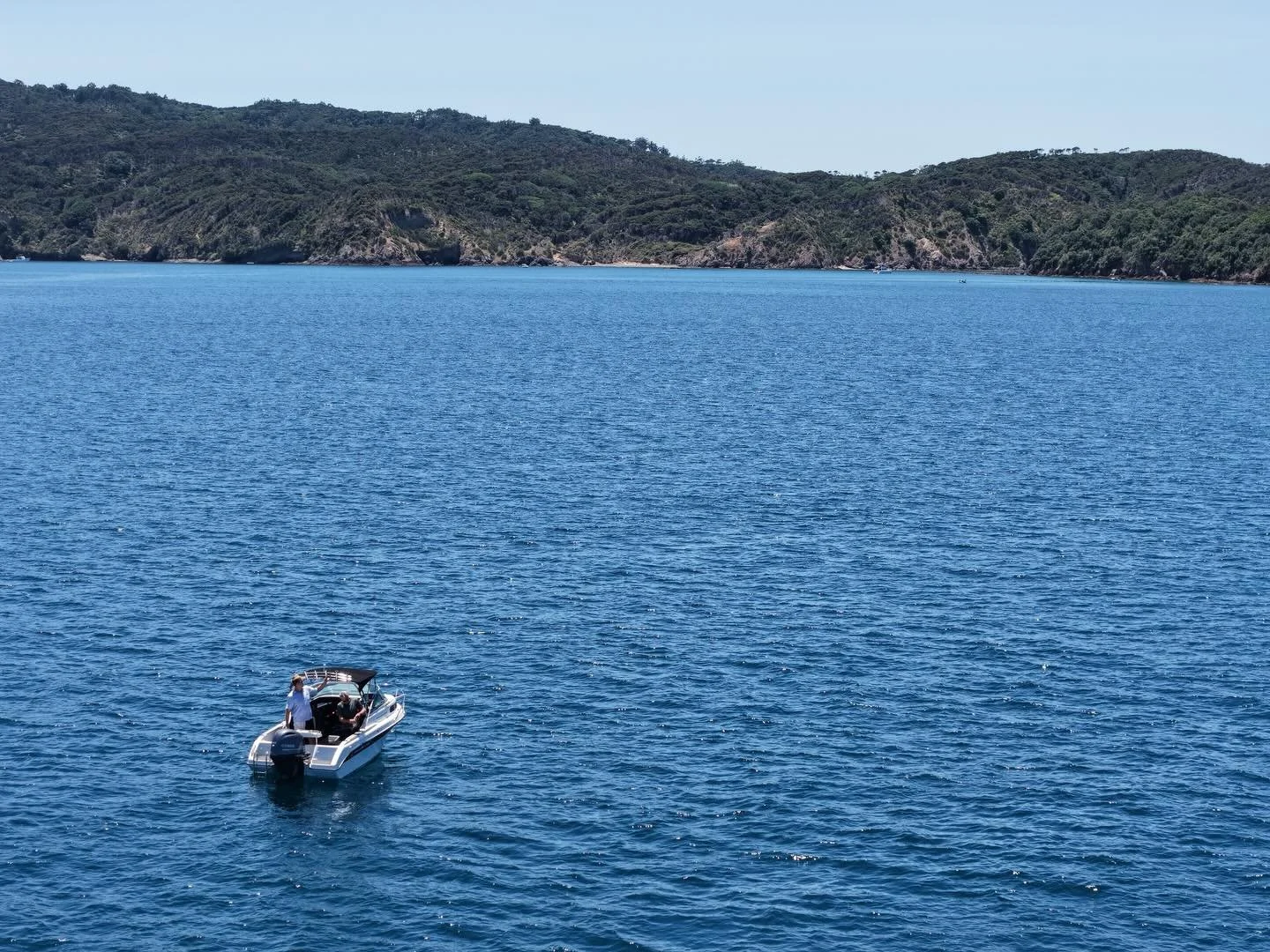 Still cant see any fish from here 🧐