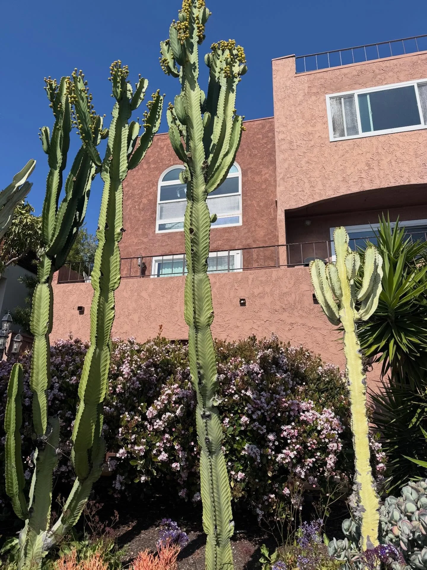 A day in my life! Had such a blast shooting content for the lovely ladies and clients @lauriemontourdesign &amp; @sarahdeal_interiors 🤍 I also made major progress at the townhome our first week in. 🏡 We are husslingggggggg