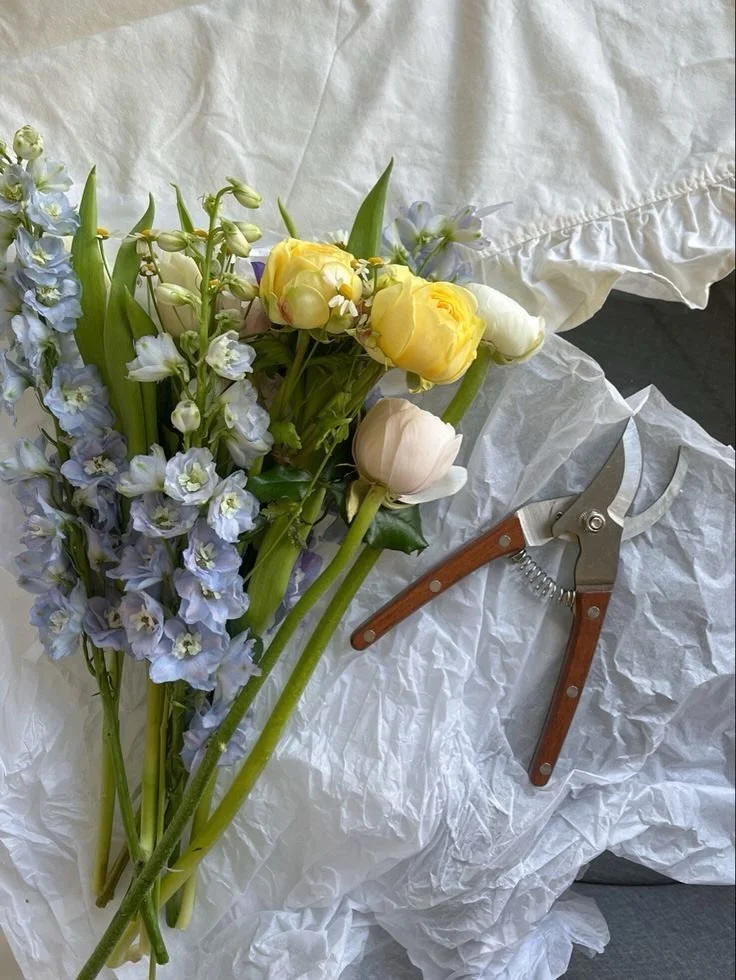 Spring is so pretty 🌸 📸 Pinterest