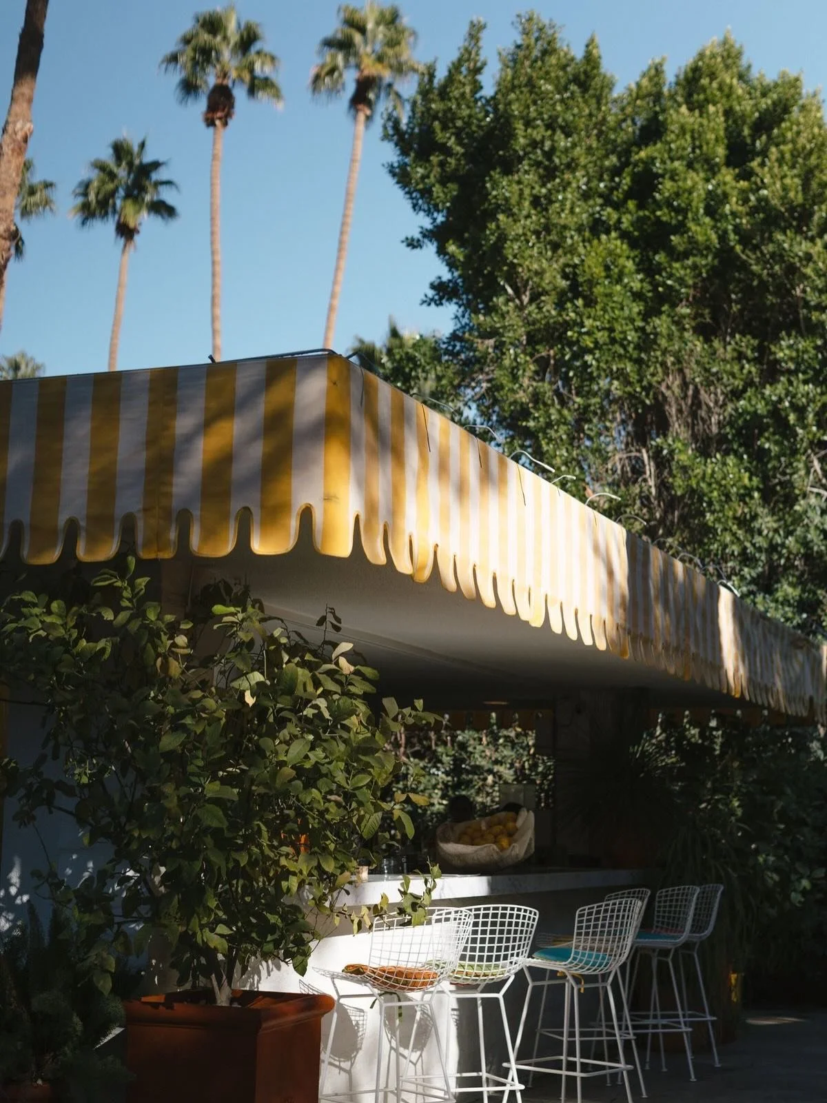 Heading to Coachella this weekend&mdash;3rd year in a row. I grew up going to Palm Springs with my grandparents and family during the summers, then came here for my bachelorette, and now I&rsquo;m back every year for Coachella, birthdays, and bachelo