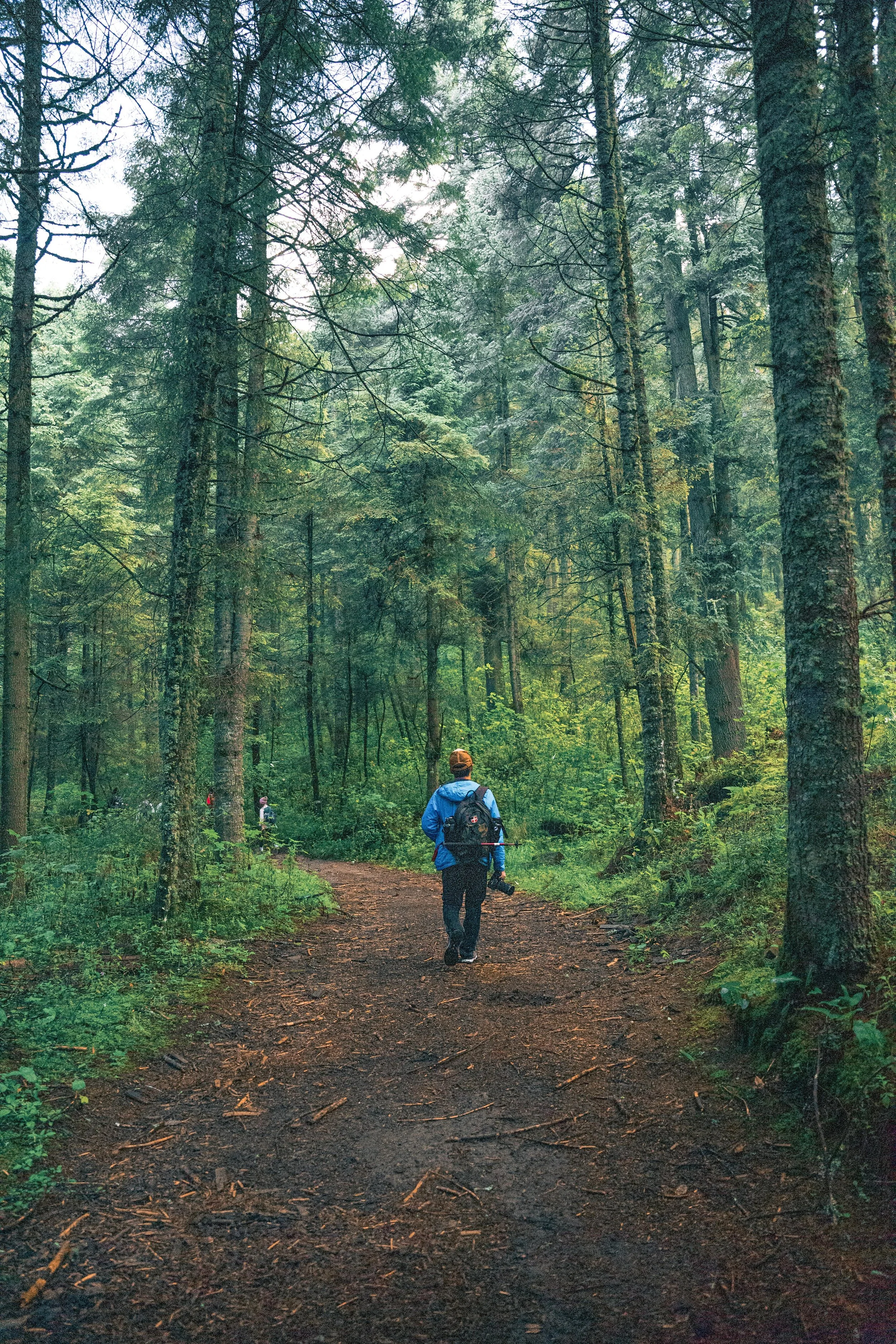 A person walking on a dirt trail through a dense green forest in Billund, holding a camera, dressed in a blue jacket and orange cap.