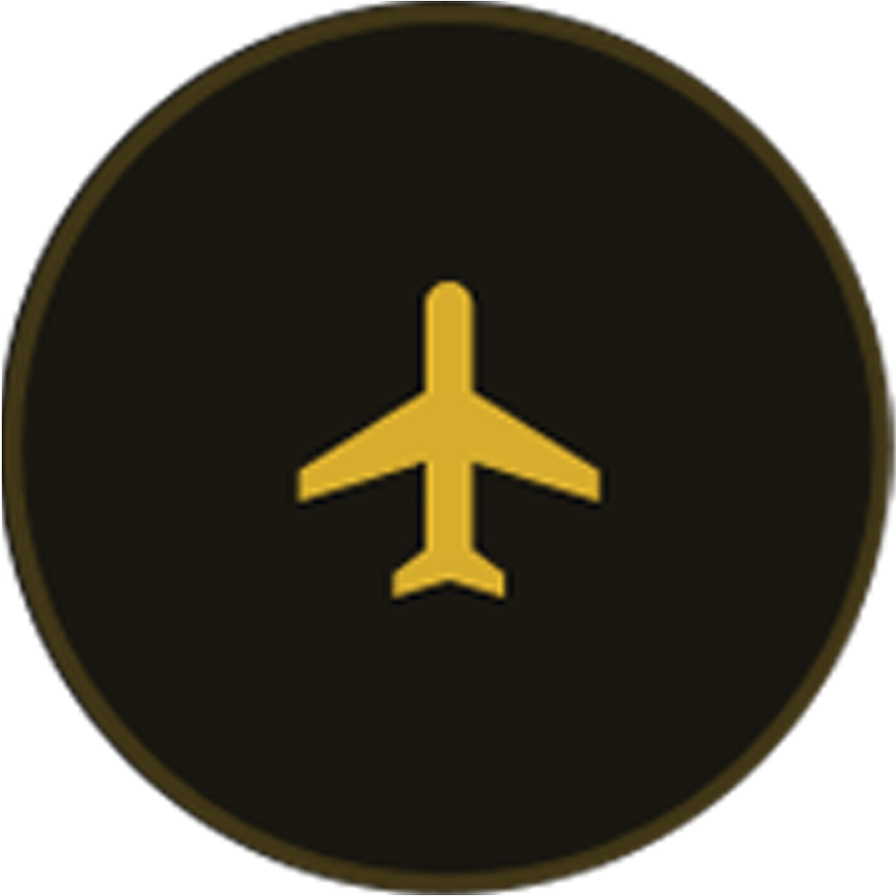 Icon of an airplane in yellow on a black circular background with a gold border representing flight tracking for airport transfers.
