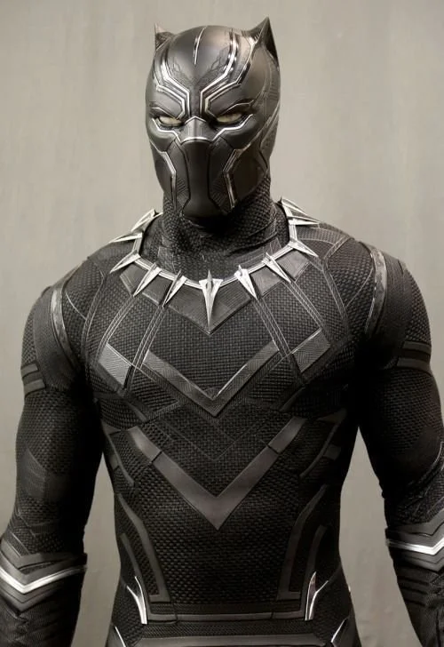 Close-up of a person in a Black Panther costume, featuring a detailed black and silver suit and mask with cat-like ears and a necklace with sharp points.