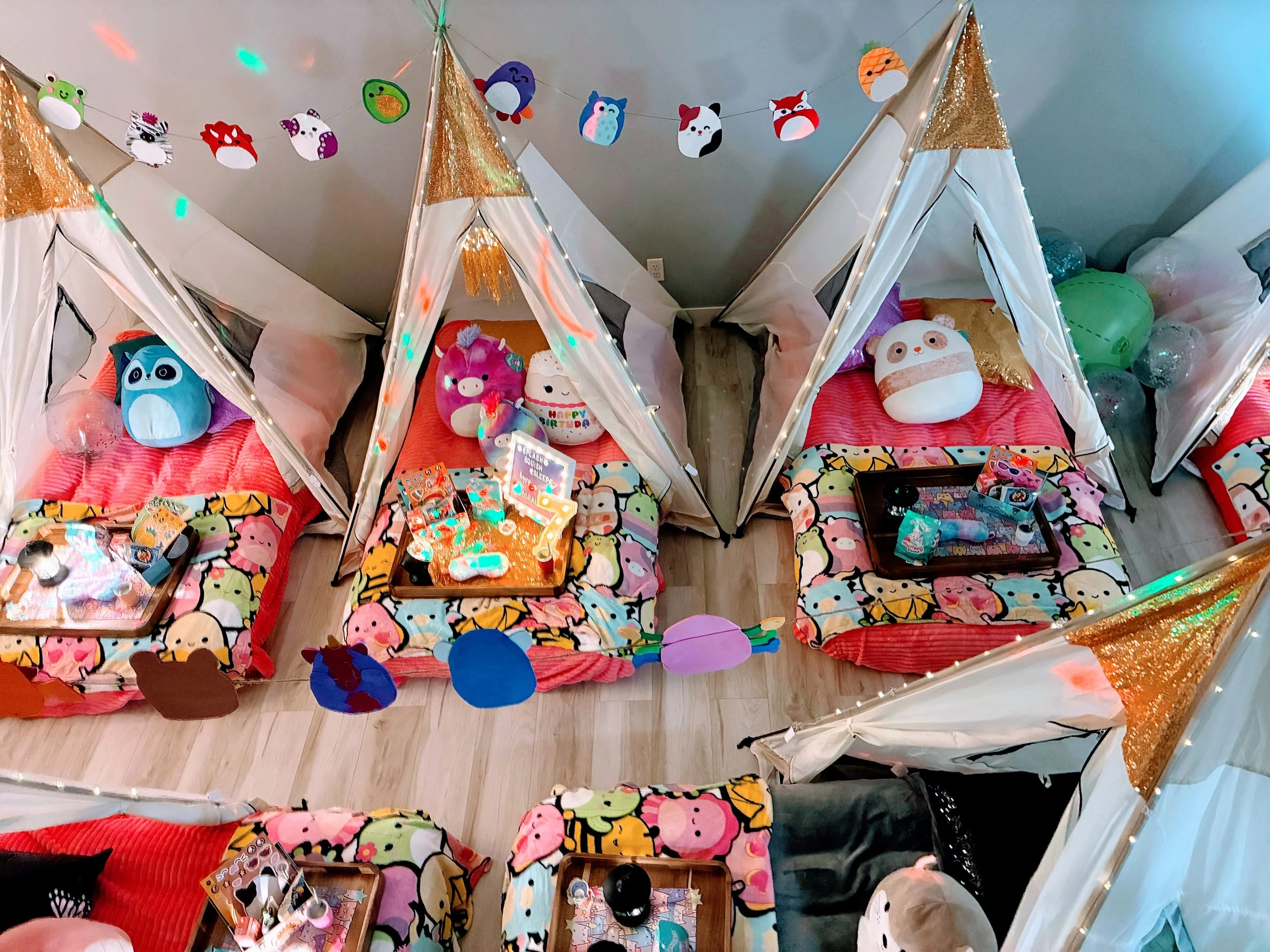 TTM Squishmallow CG 2.JPG