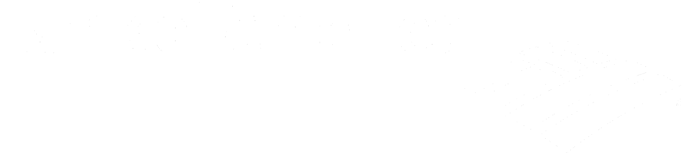 The logo of Bank of America with stylized American flag design in black and white.