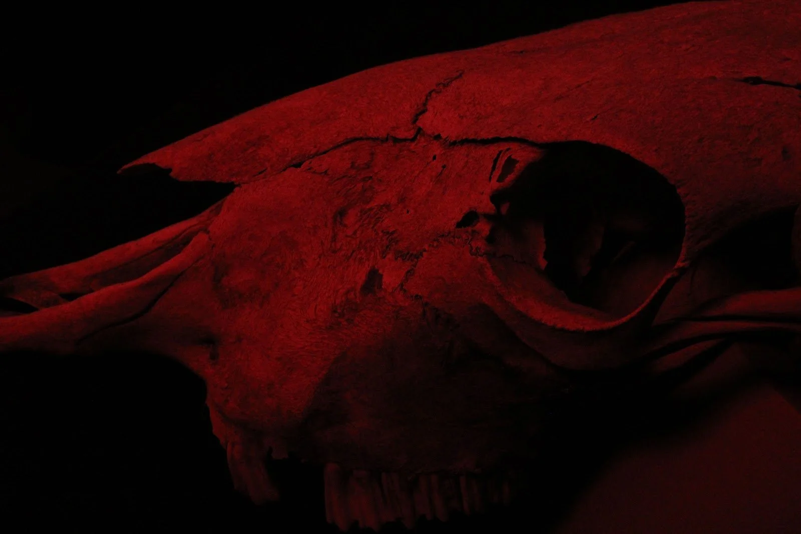 unnamed-3.jpg