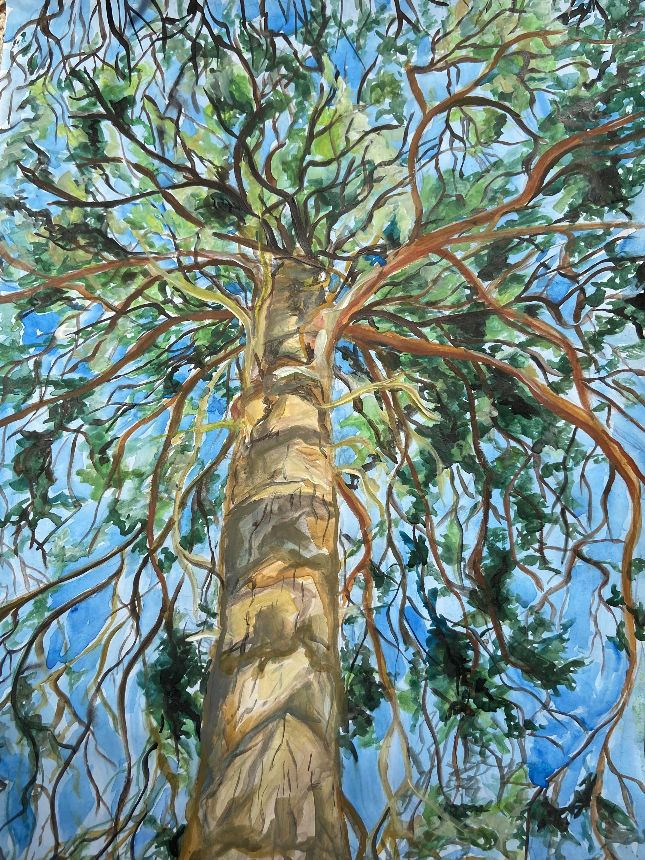 The Protector (2022) Gouache on Paper. A3