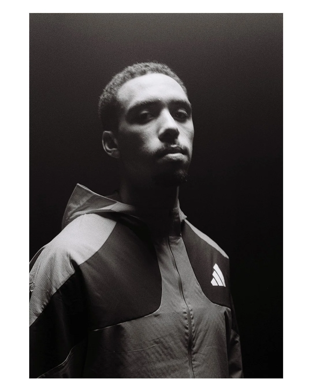 Daniel Segers on film