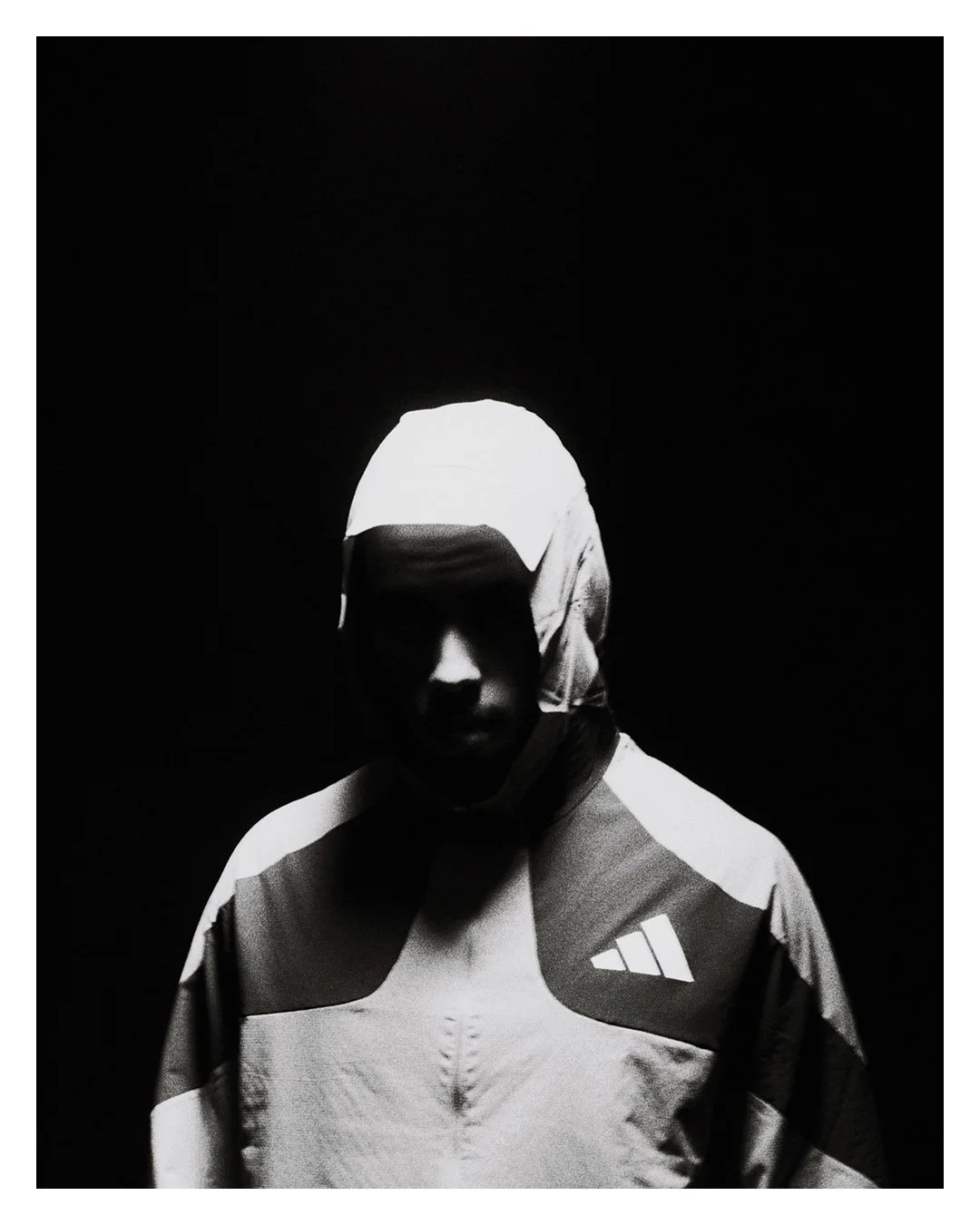 Daniel Segers on film