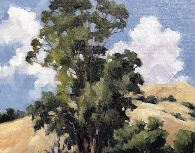 Artist:  Julia Seelos:  Specializing in trees:
Medium: Oil:
Dates and Times: One day, May 12th:
Location: Pacific Grove overlooking the ocean. PACIFIC GROVE OCEAN VIEW PARK:
Cost: $140:
Number of Students: Minimum 5 maximum 10.