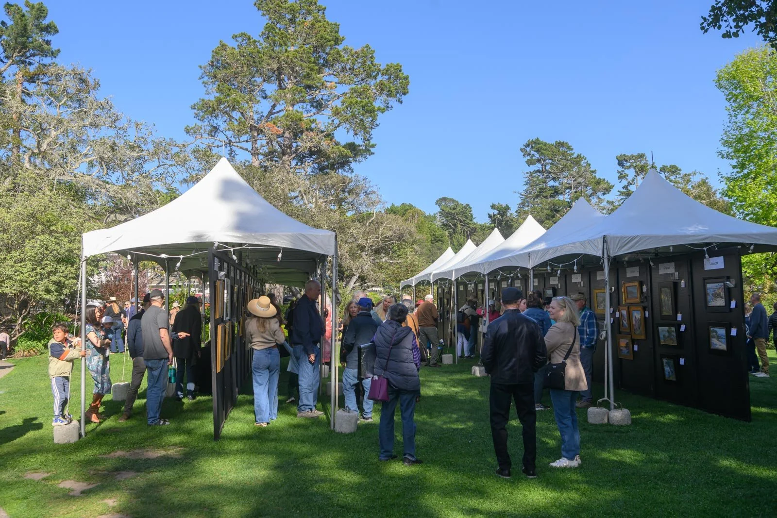 Carmel Art Festival 2026-051.jpg