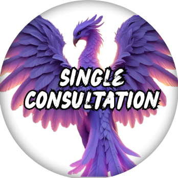 Single Consultation & Personalized Plan Creation
