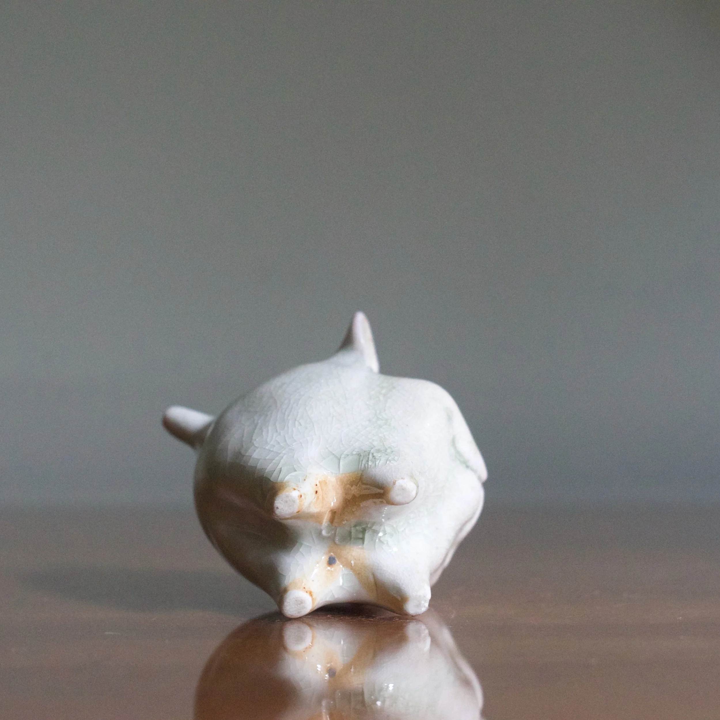 Tasuku Mitsufuji cat water dropper 3