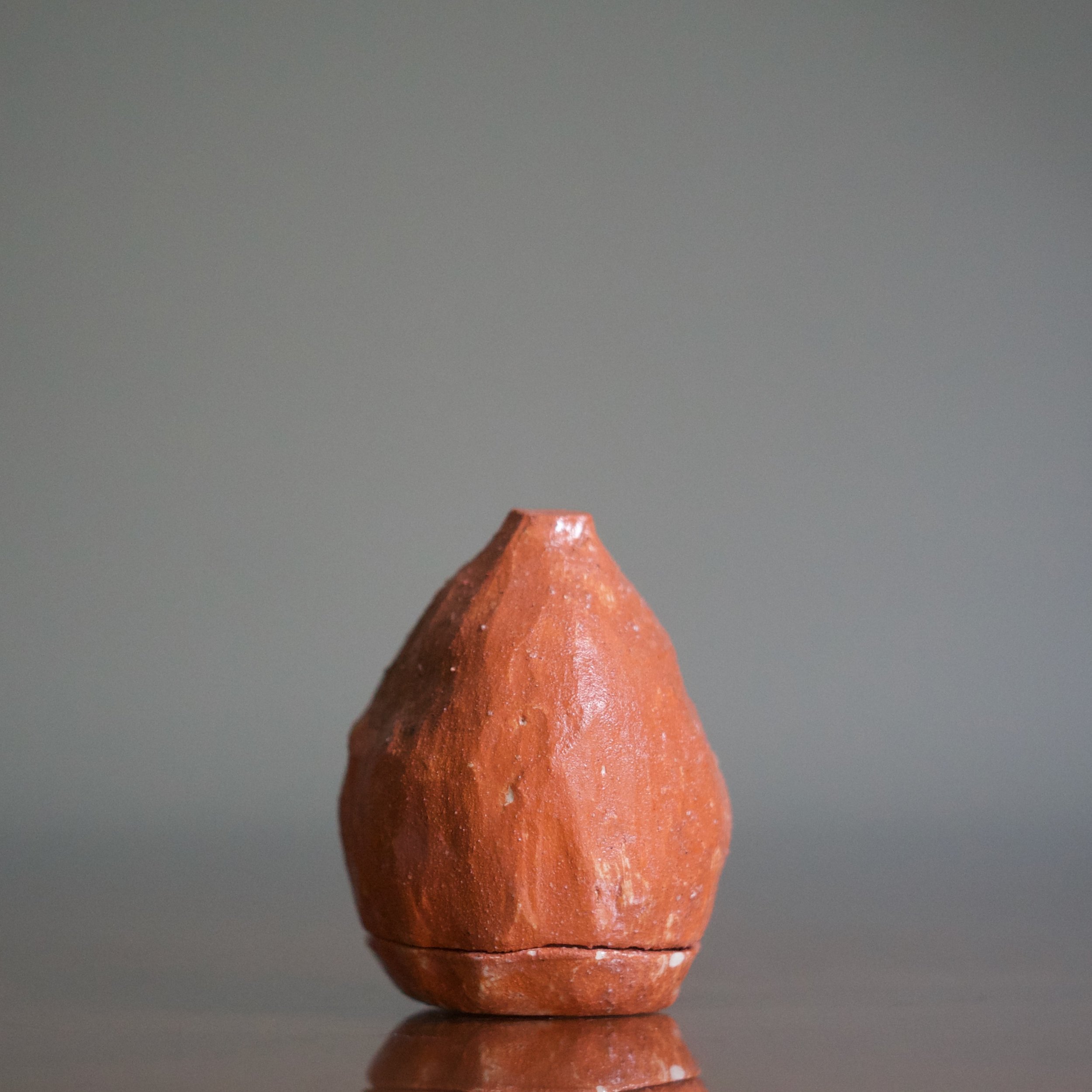 Tomoko Yanashita juroujin kogo